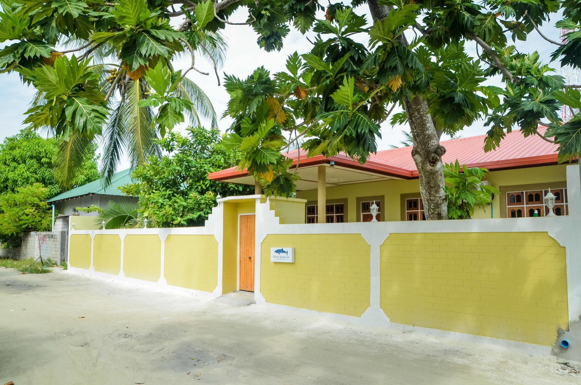 Whale Shark Inn Maamigili Esterno foto